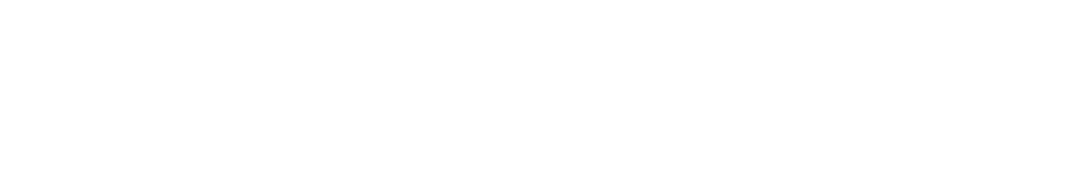 Serverfolio White Logo